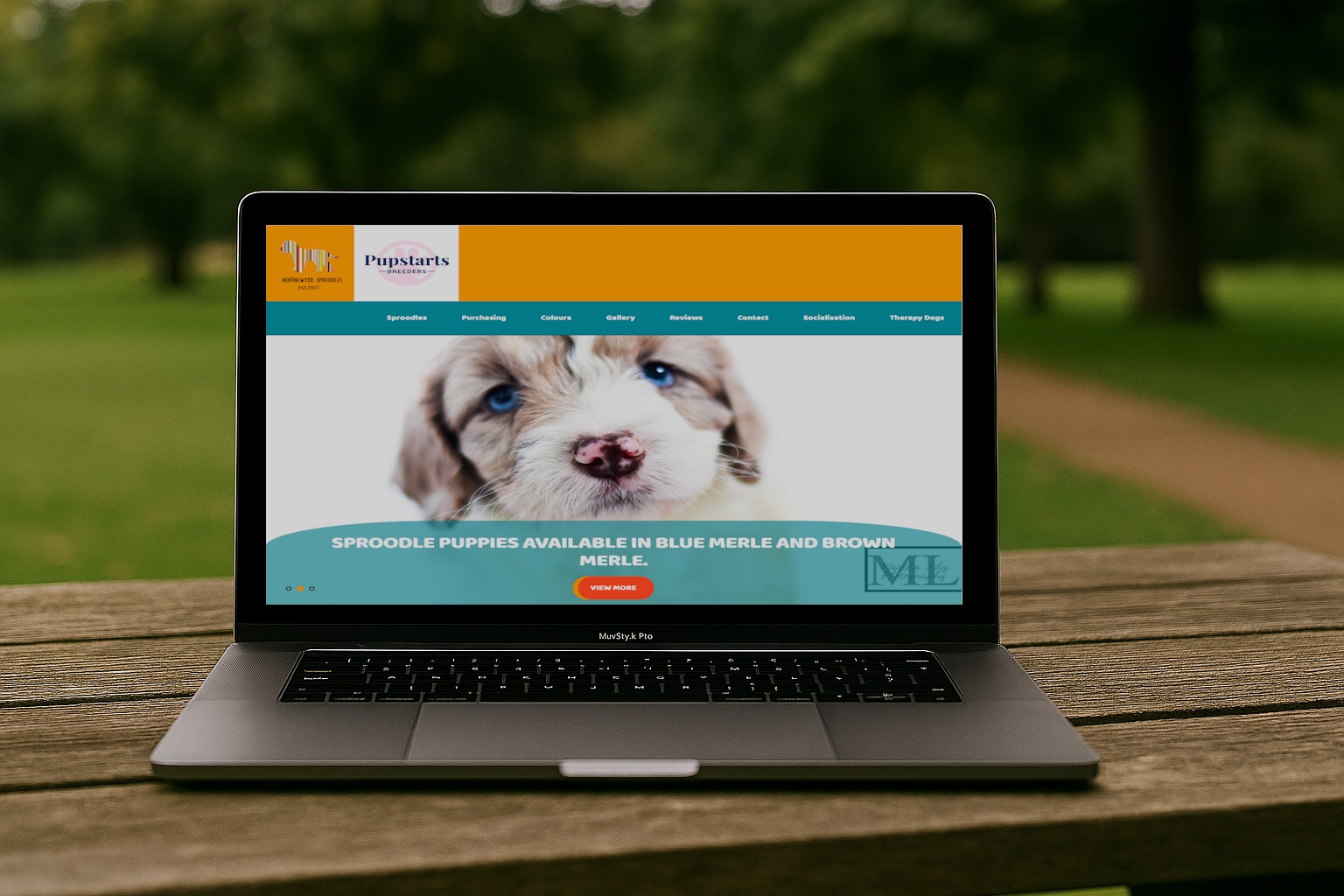 Small business Umbraco website 