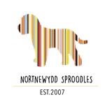 Nortnewydd Sproodles Logo